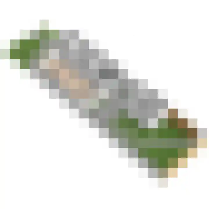 Drieseegt 1 Erp thumbnail 46