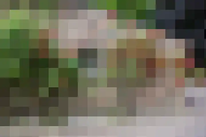 Drieseegt 1 Erp thumbnail 48