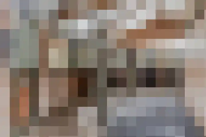 Drieseegt 1 Erp thumbnail 47