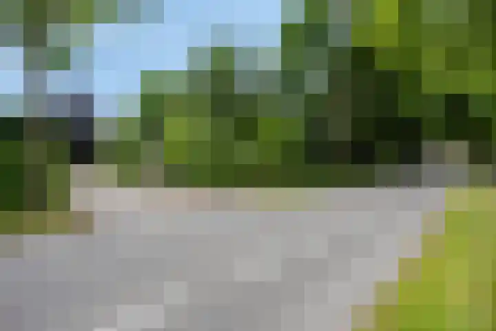 Drieseegt 1 Erp thumbnail 5