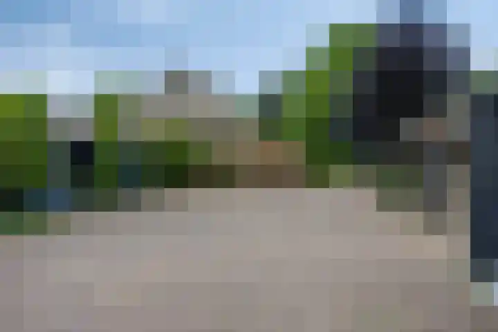 Drieseegt 1 Erp thumbnail 50