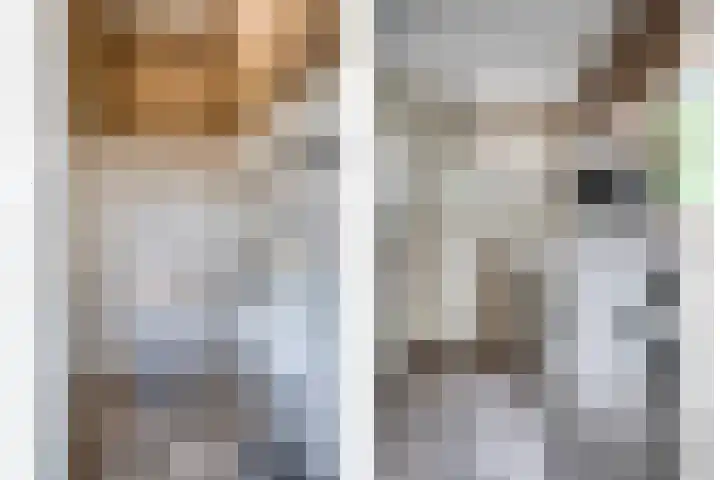 Drieseegt 1 Erp thumbnail 52