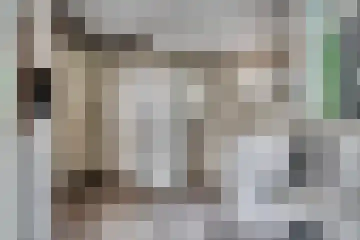 Drieseegt 1 Erp thumbnail 53