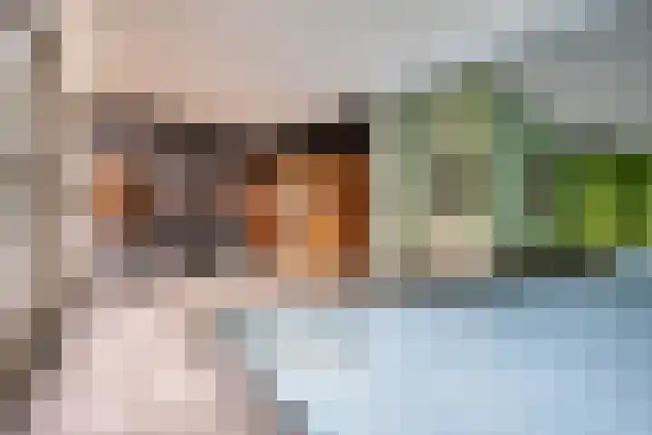 Drieseegt 1 Erp thumbnail 54