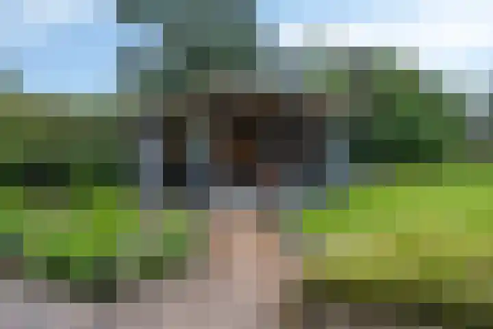 Drieseegt 1 Erp thumbnail 58