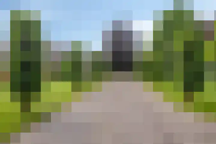 Drieseegt 1 Erp thumbnail 6