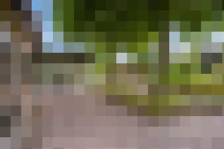 Drieseegt 1 Erp thumbnail 59