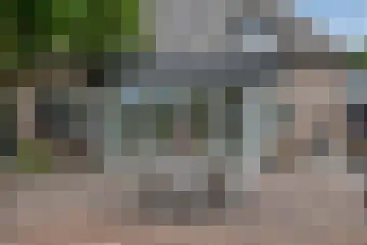 Drieseegt 1 Erp thumbnail 62
