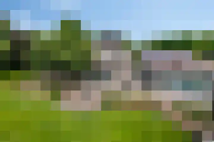 Drieseegt 1 Erp thumbnail 61