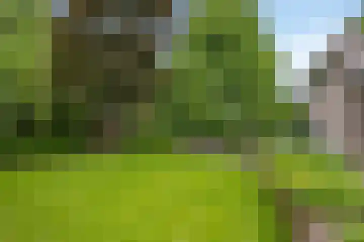 Drieseegt 1 Erp thumbnail 65