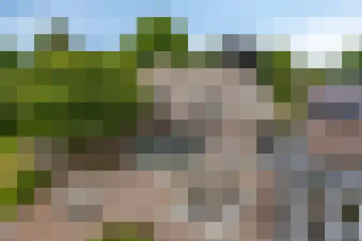 Drieseegt 1 Erp thumbnail 64