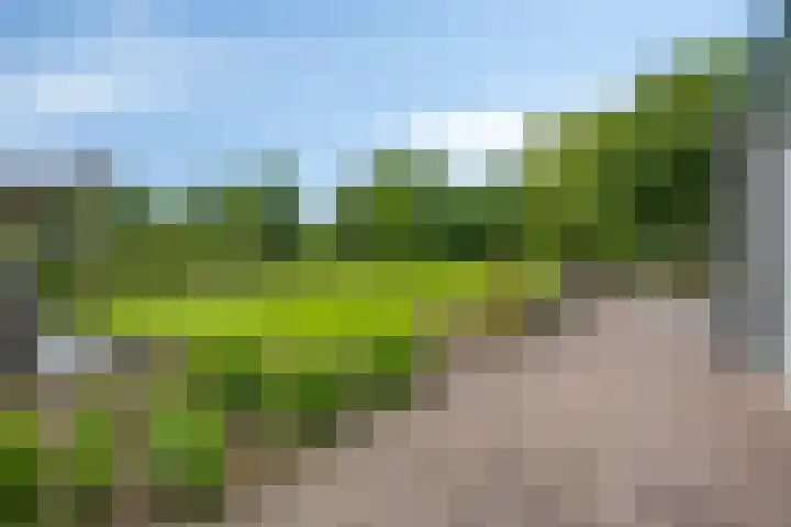 Drieseegt 1 Erp thumbnail 68