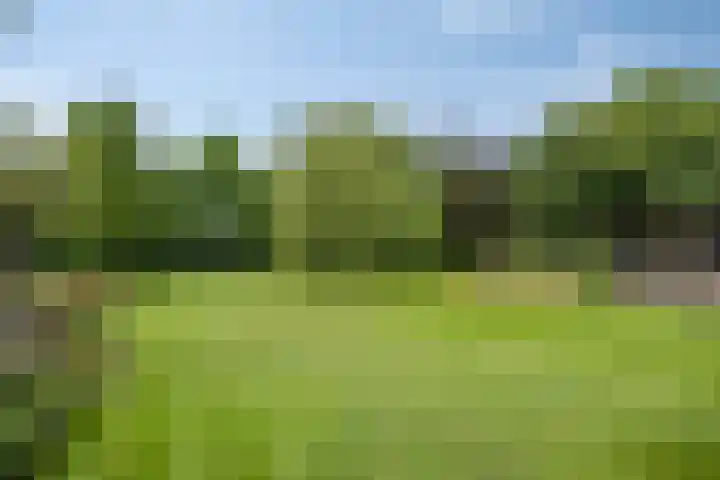 Drieseegt 1 Erp thumbnail 67