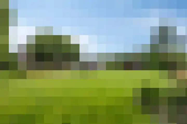 Drieseegt 1 Erp thumbnail 68