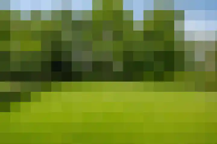 Drieseegt 1 Erp thumbnail 71