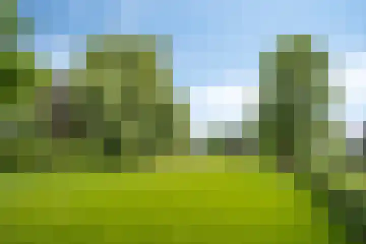 Drieseegt 1 Erp thumbnail 72