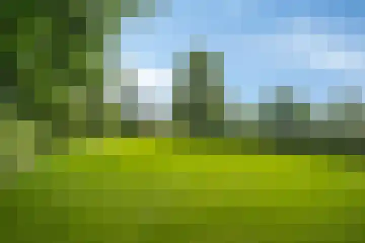 Drieseegt 1 Erp thumbnail 71