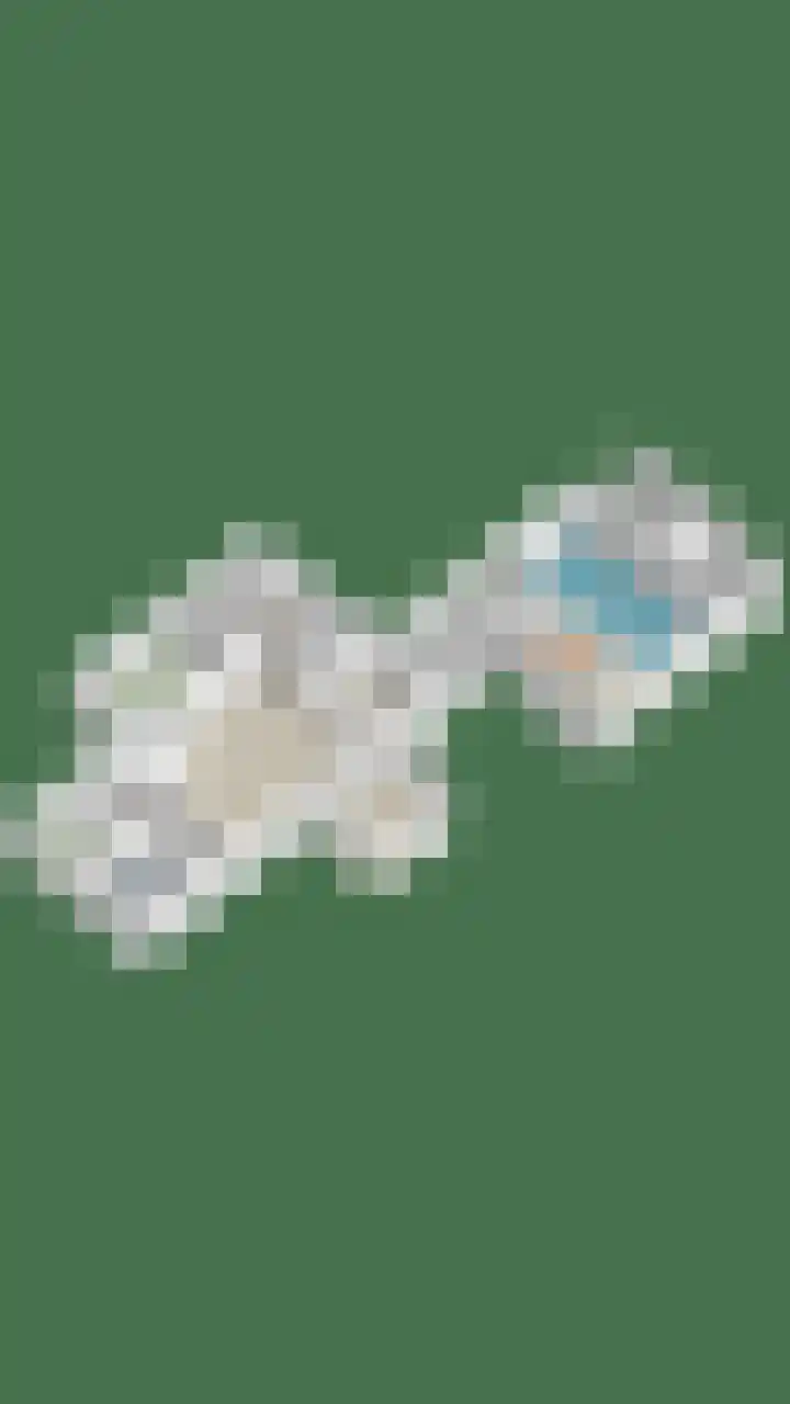 Drieseegt 1 Erp thumbnail 76