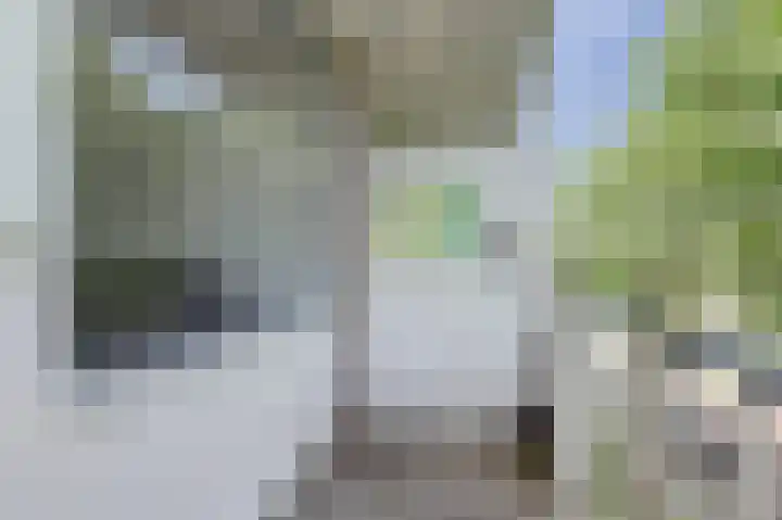 Drieseegt 1 Erp thumbnail 77