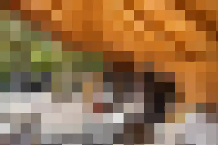 Drieseegt 1 Erp thumbnail 83