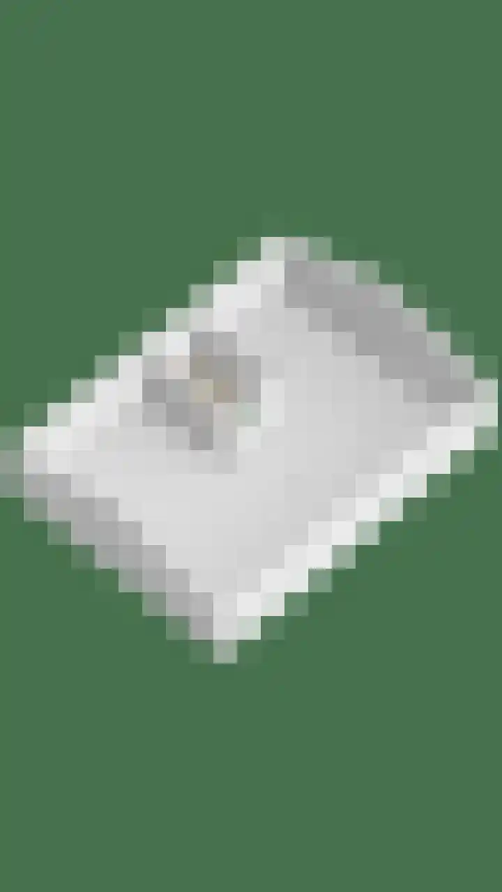 Drieseegt 1 Erp thumbnail 87