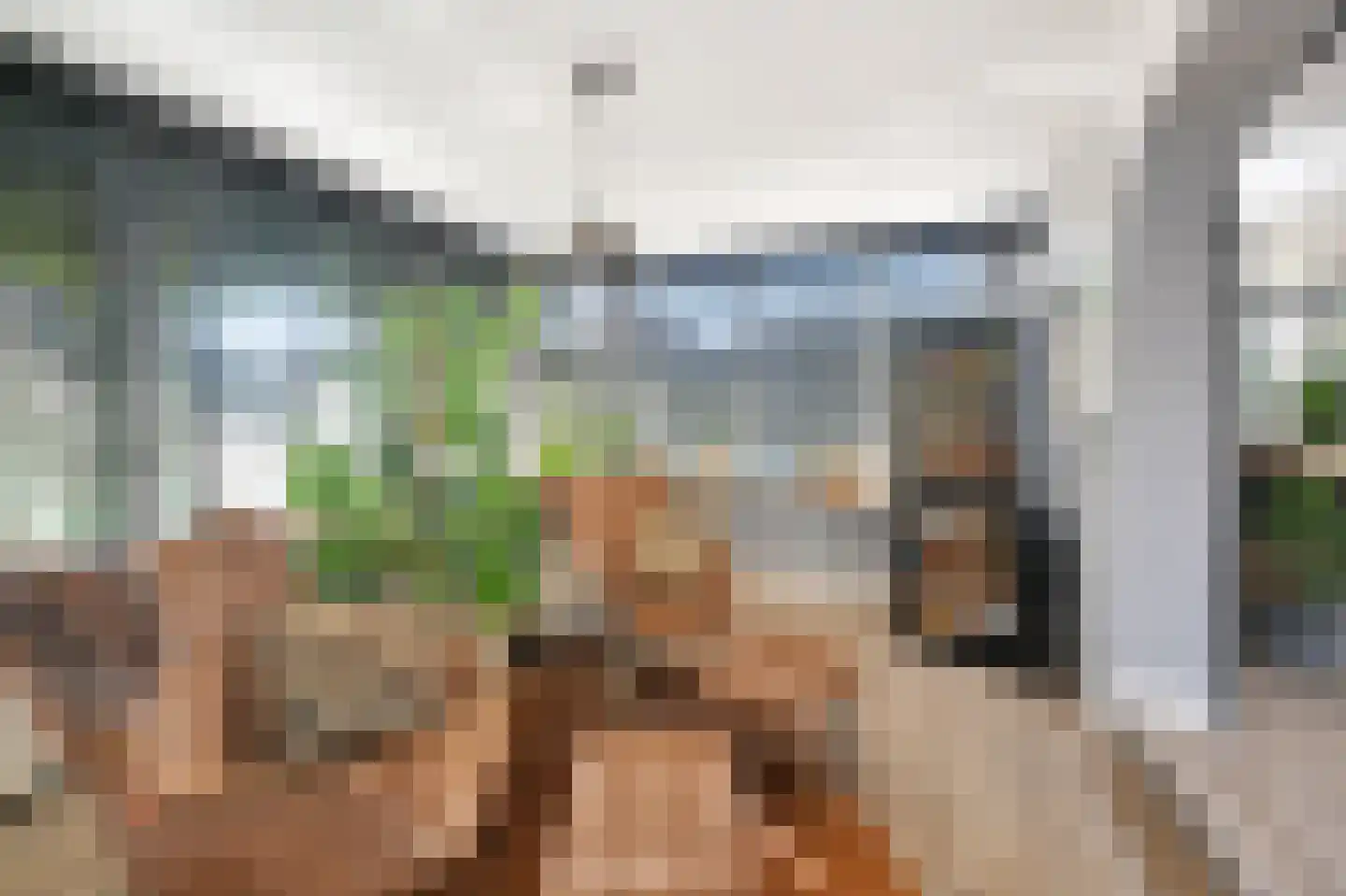 Drieseweg 13 Putten thumbnail 9