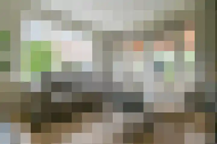 Drieseweg 18 Putten thumbnail 9