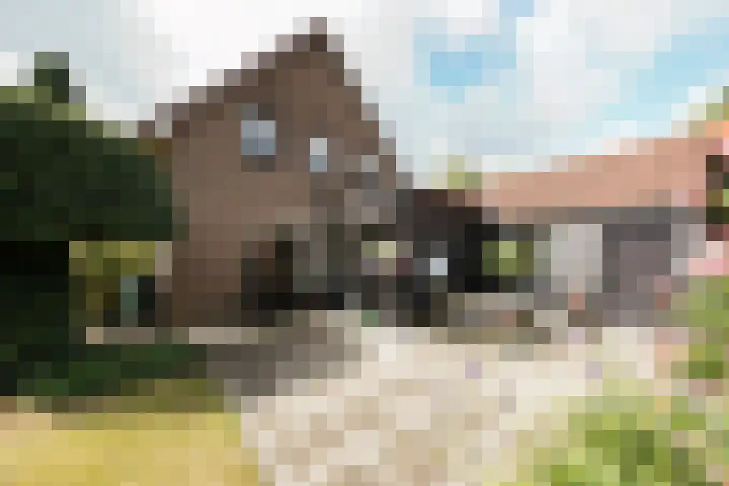 Drieseweg 23 Putten thumbnail 31