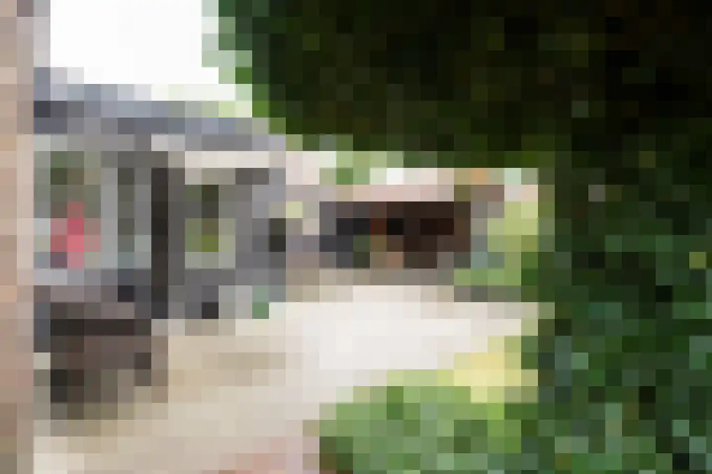 Drieseweg 23 Putten thumbnail 32
