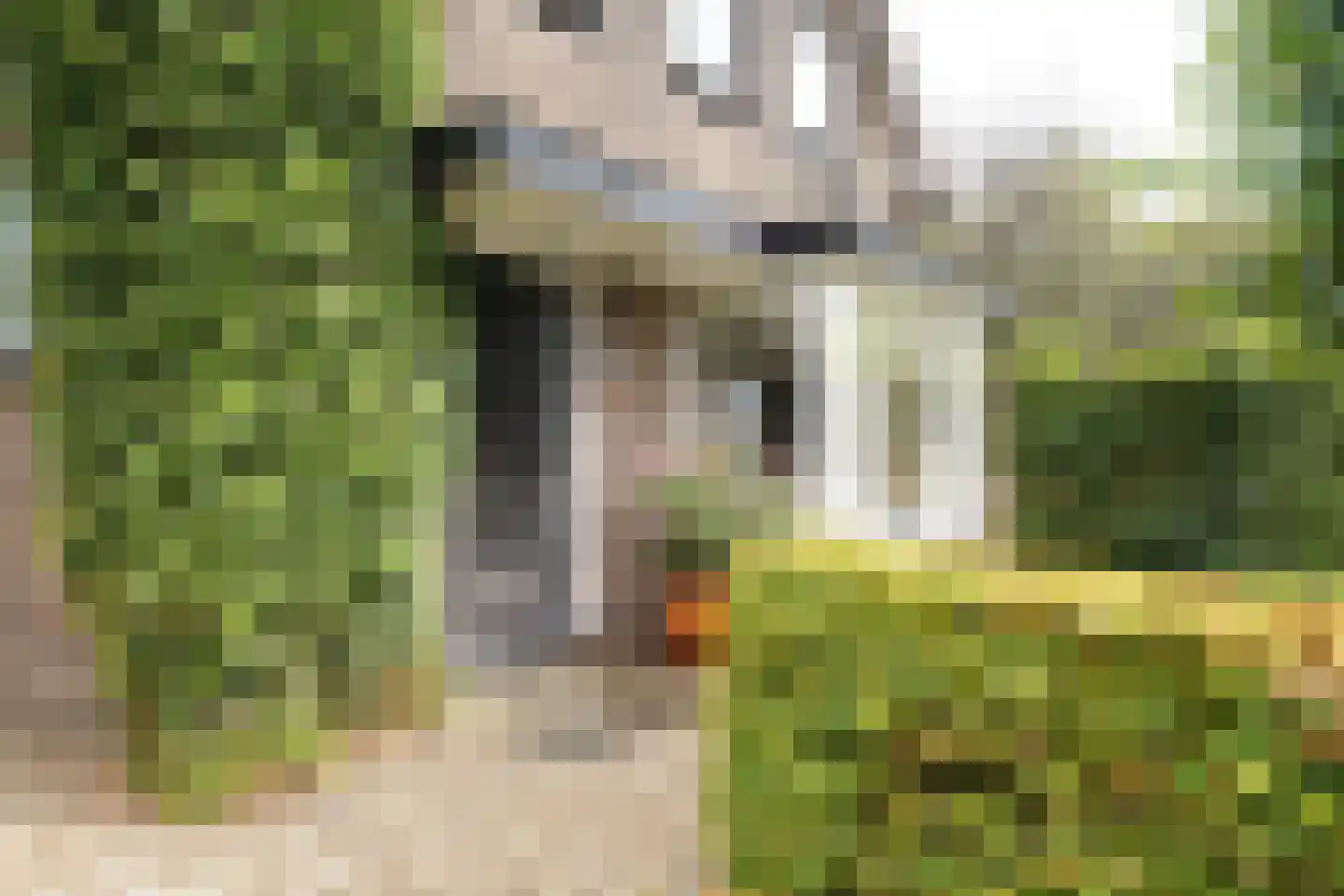 Drieseweg 23 Putten thumbnail 4