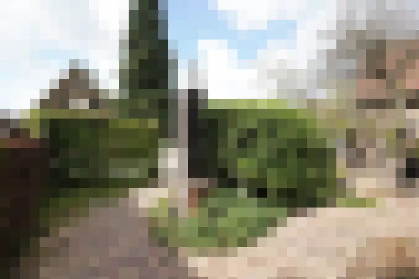 Drieseweg 23 Putten thumbnail 41