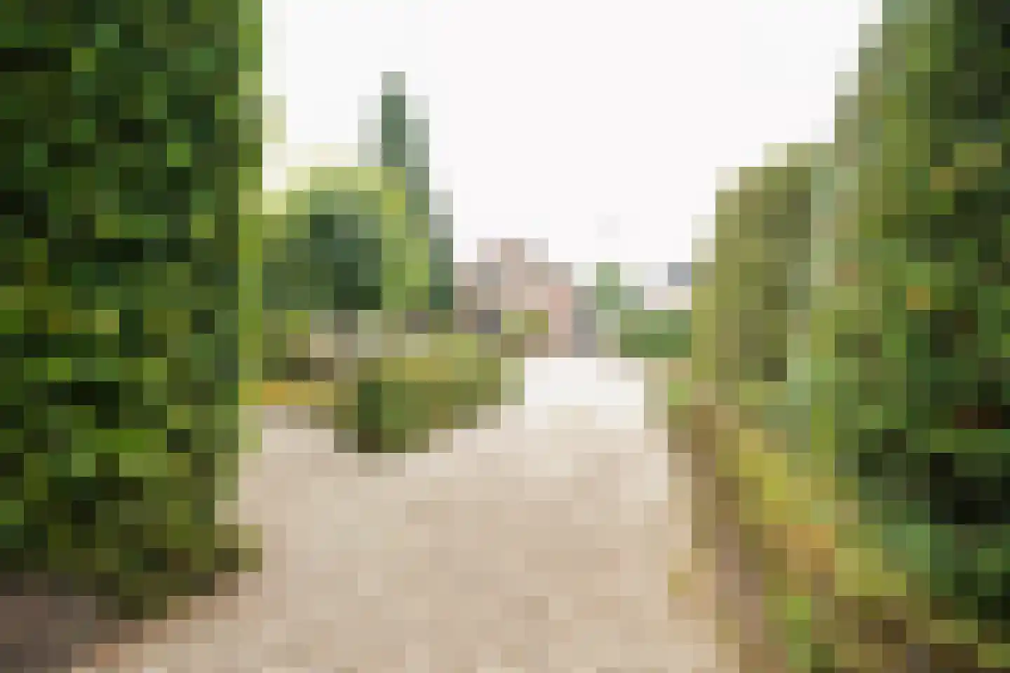 Drieseweg 23 Putten thumbnail 61