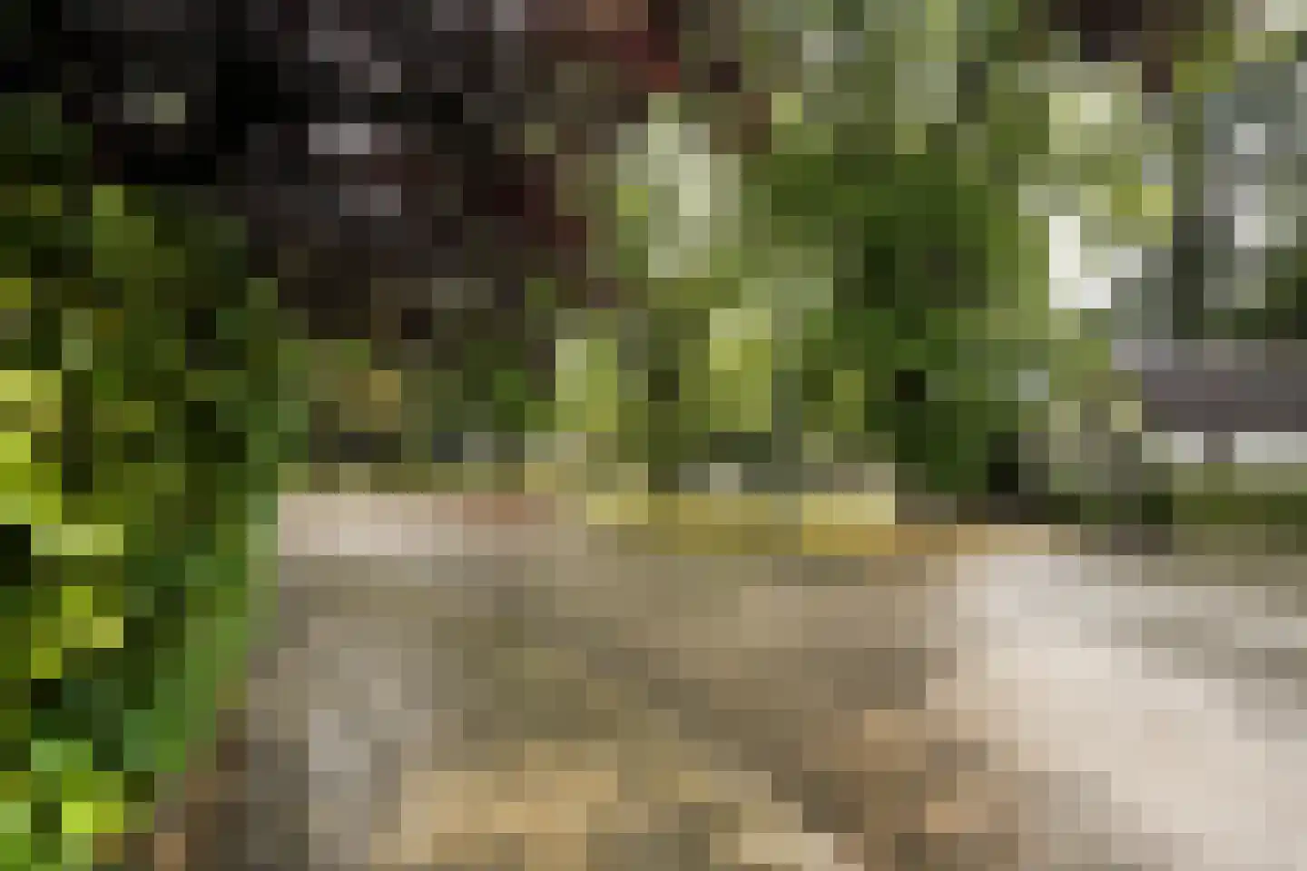 Drieseweg 23 Putten thumbnail 65