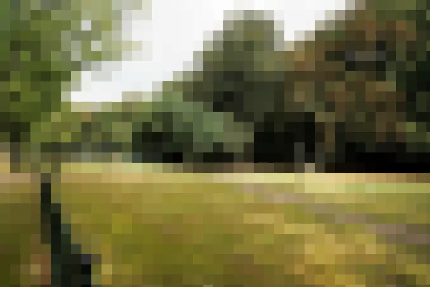 Drieseweg 23 Putten thumbnail 66
