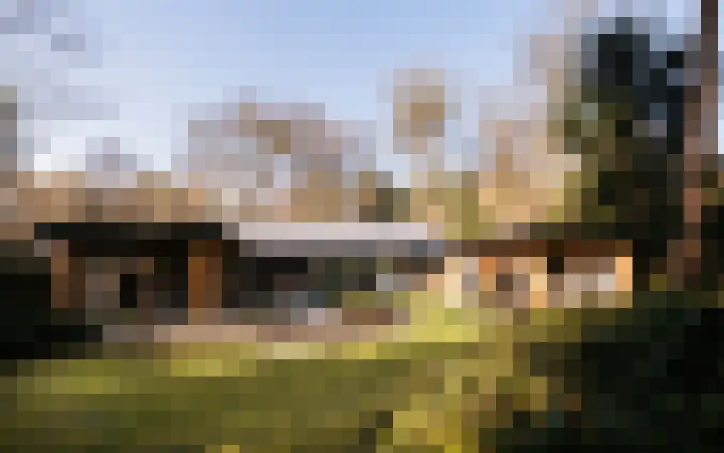 Drieseweg 82 Putten thumbnail 4