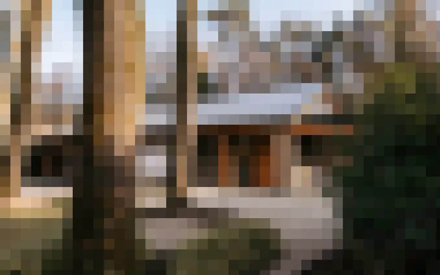 Drieseweg 82 Putten thumbnail 8