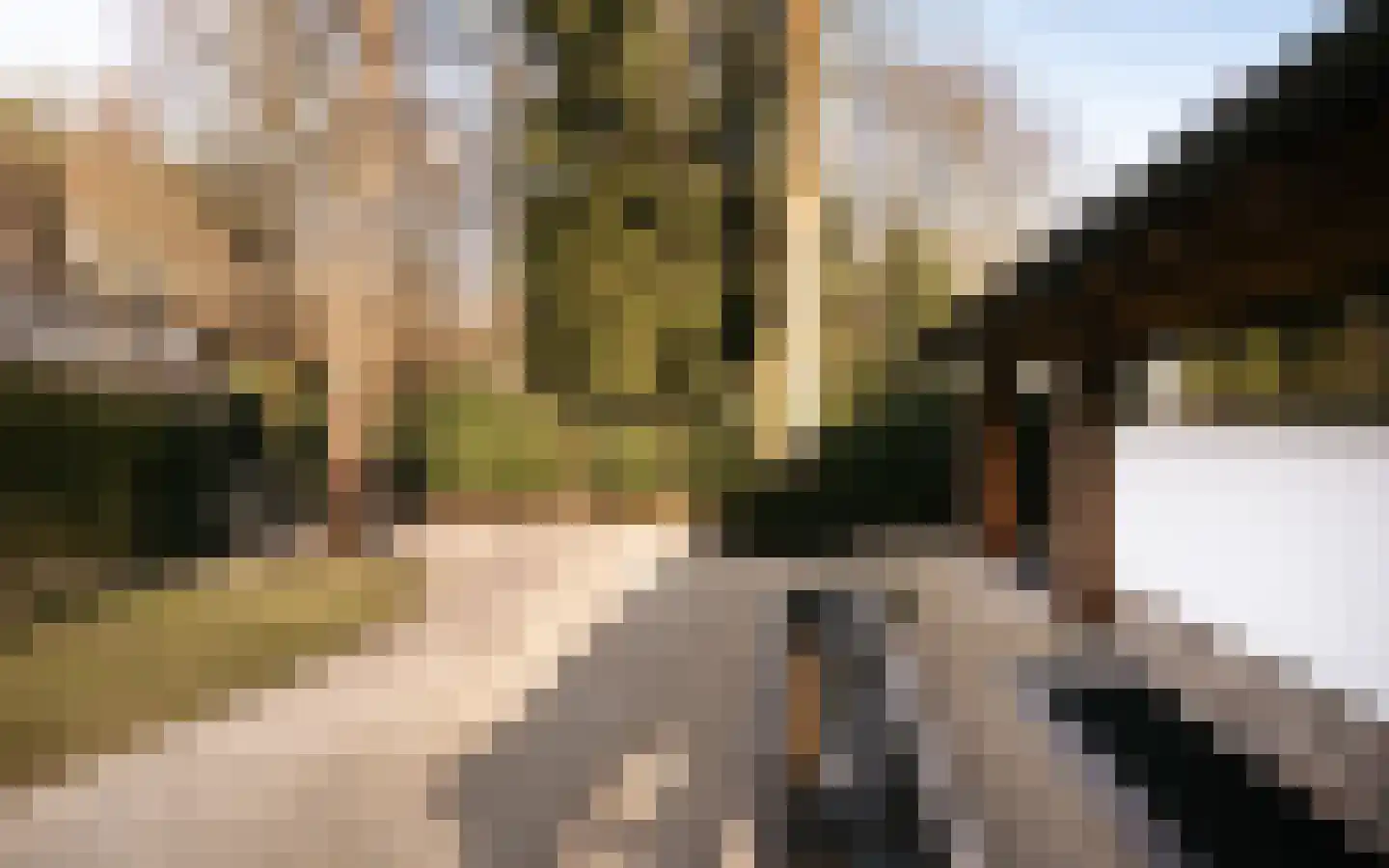 Drieseweg 82 Putten thumbnail 9
