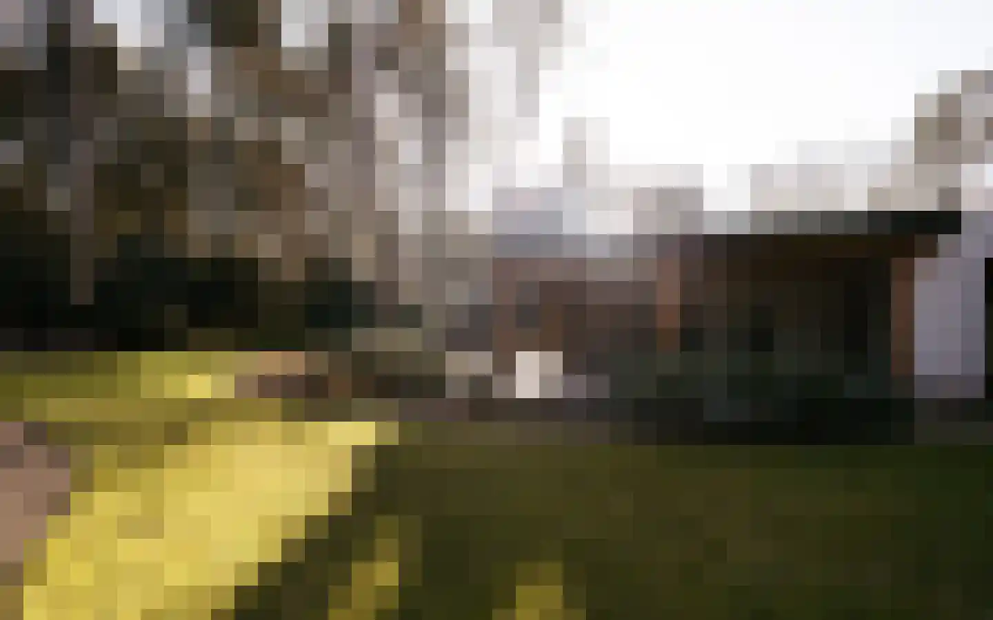 Drieseweg 82 Putten thumbnail 90