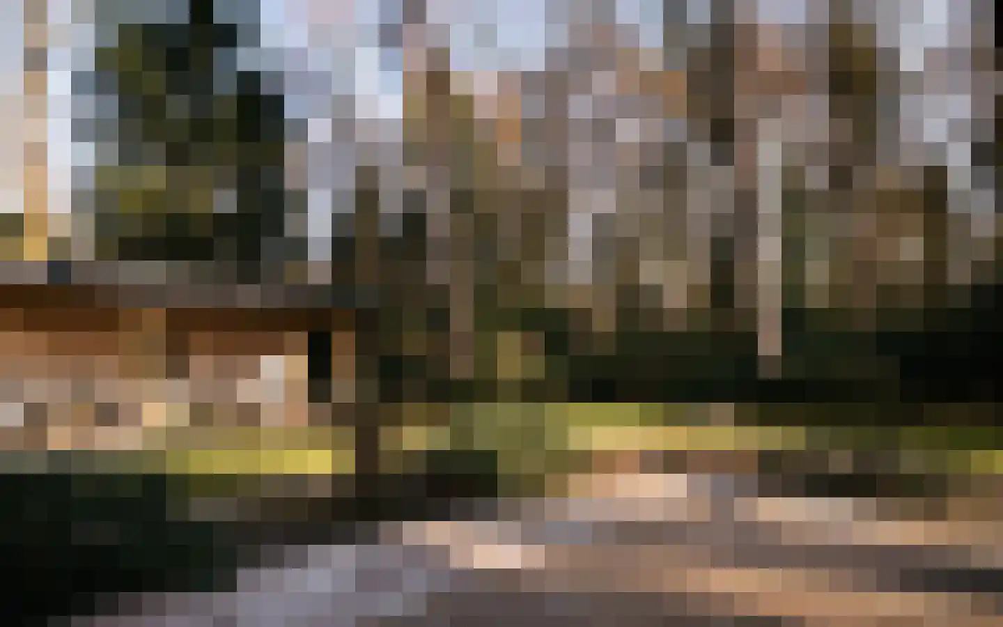 Drieseweg 82 Putten thumbnail 98