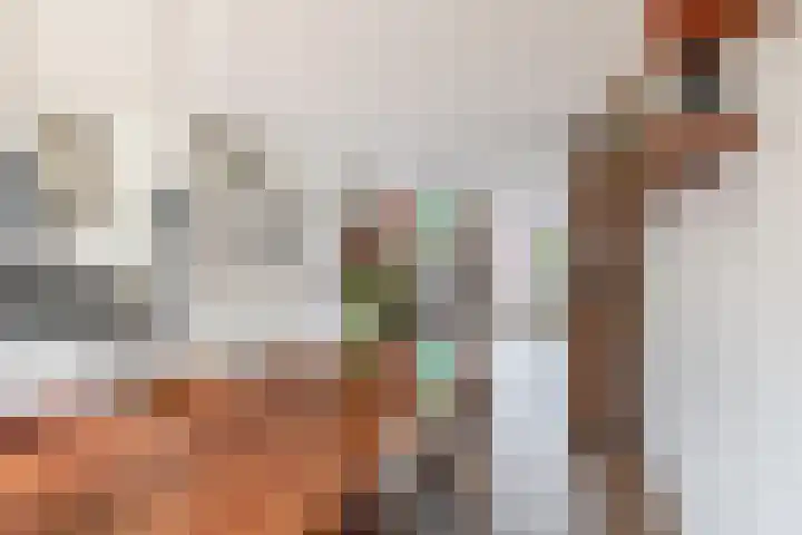 Drieske 19 Eersel thumbnail 12