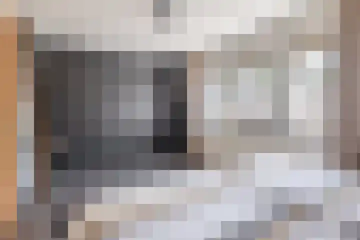 Drieske 19 Eersel thumbnail 20