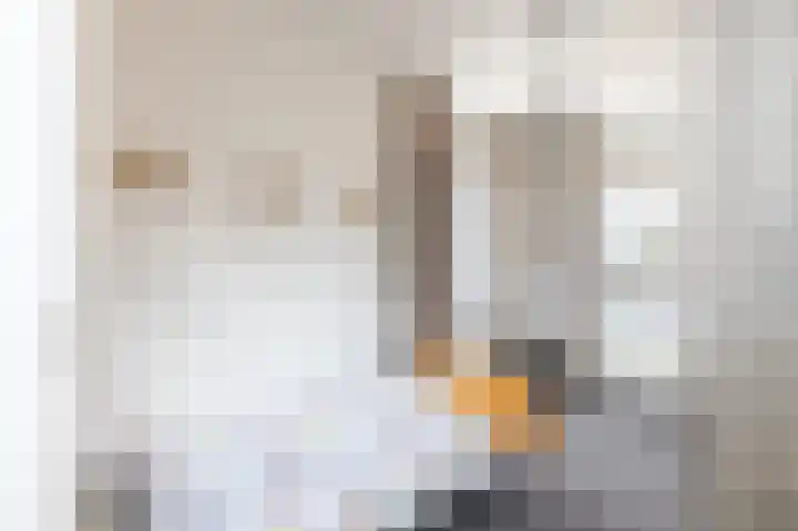 Drieske 19 Eersel thumbnail 21