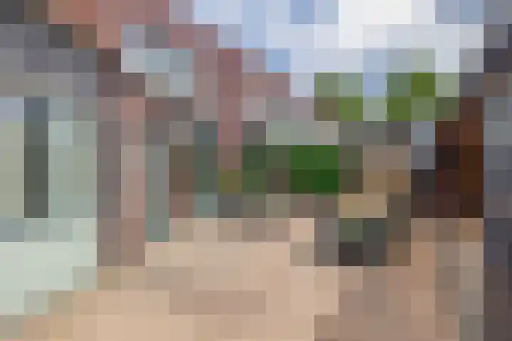 Drieske 19 Eersel thumbnail 30