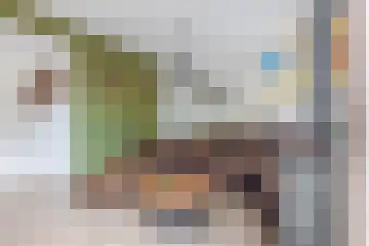 Drieske 19 Eersel thumbnail 8