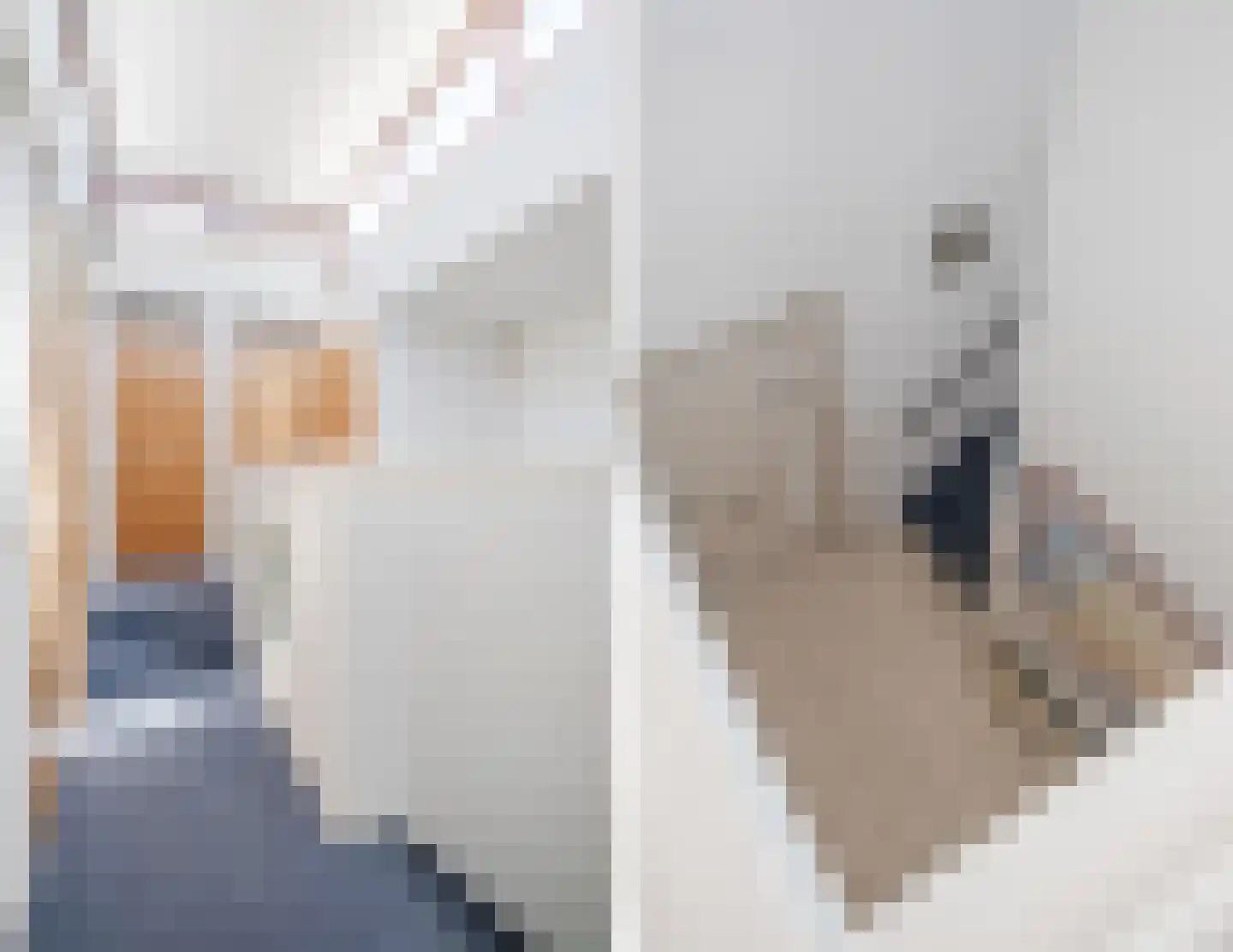 Drieske 21 Eersel thumbnail 17