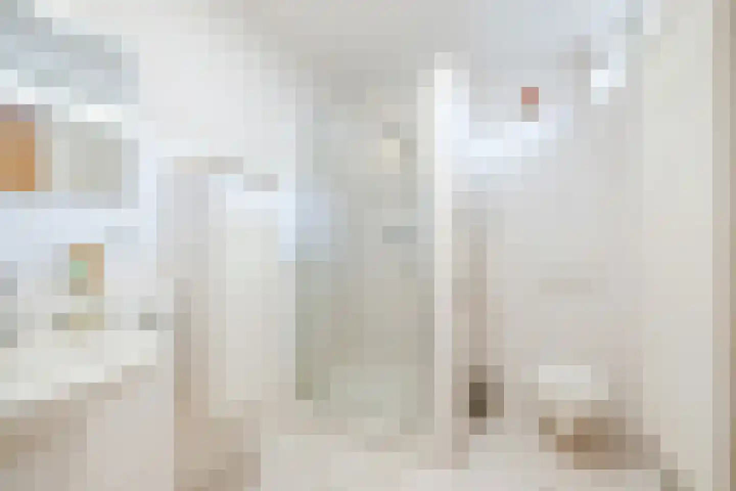 Drieske 21 Eersel thumbnail 23