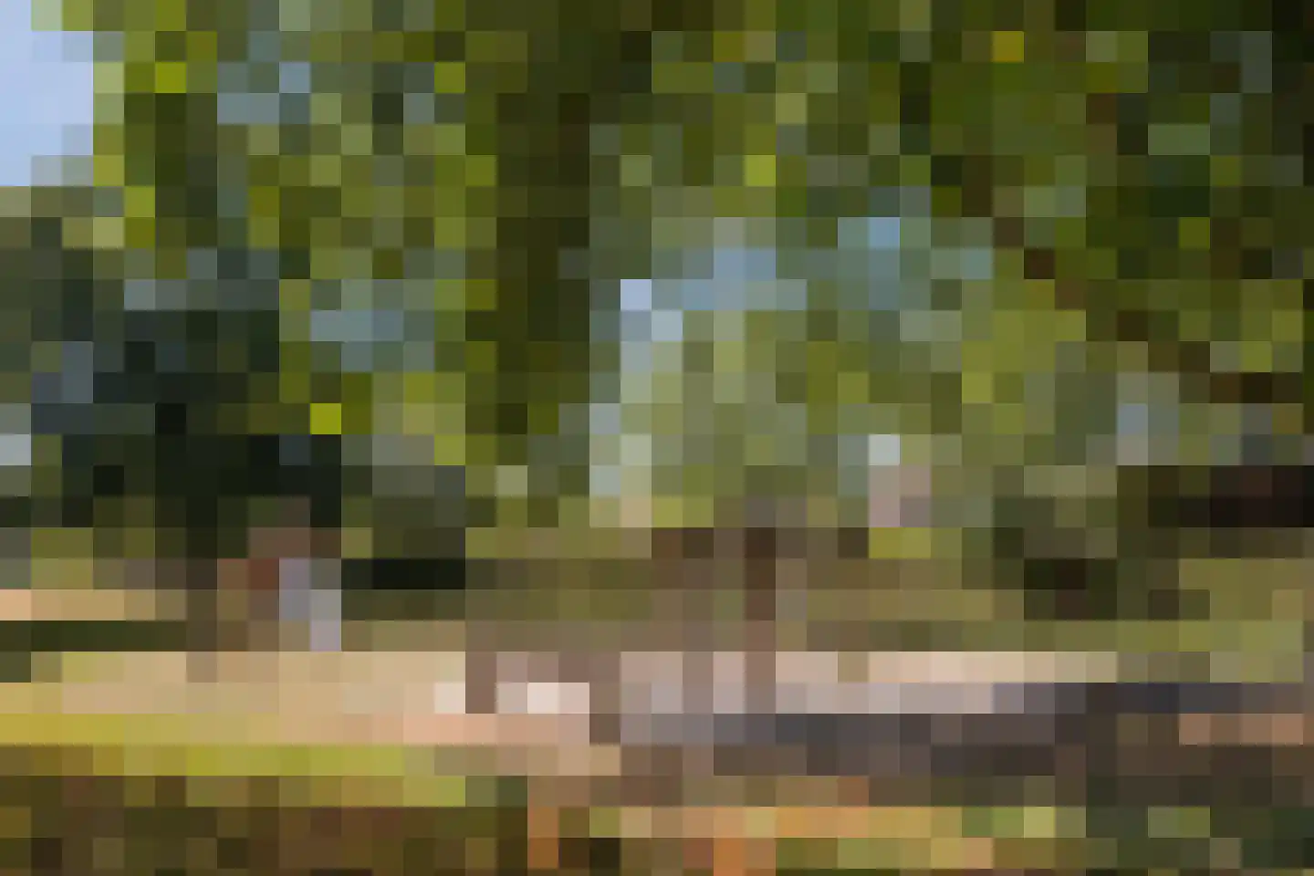 Drieske 21 Eersel thumbnail 29