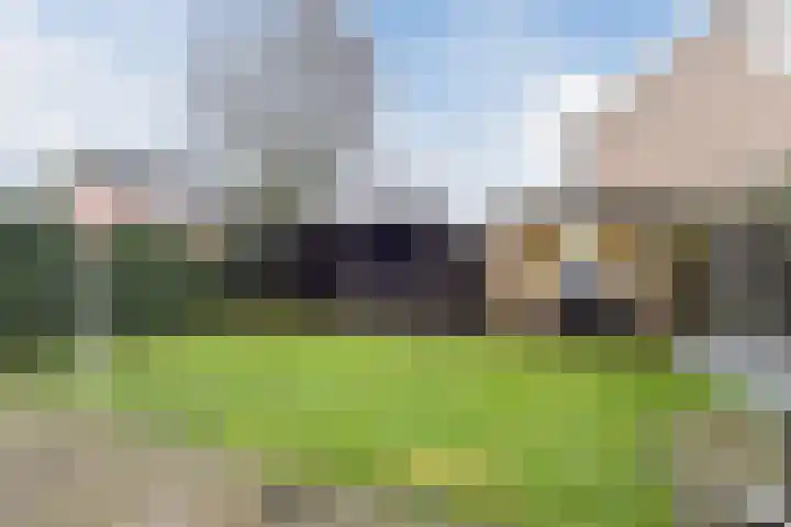 Drieskensacker 1019 Nijmegen thumbnail 8