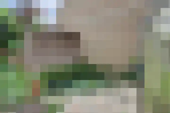 Drieskensacker 1053 Nijmegen thumbnail 38