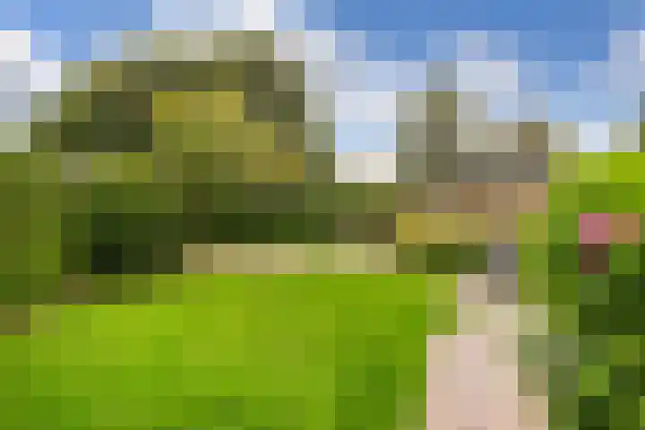 Drieskensacker 1054 Nijmegen thumbnail 14